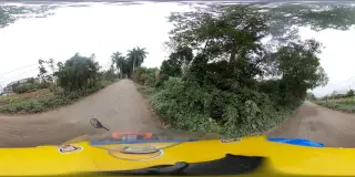 DƯƠNg HƯƠNg QuÁN