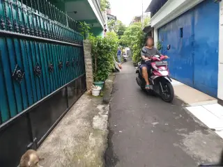 CIPULIR 1