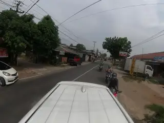 Pentol Pathil Radjapedas