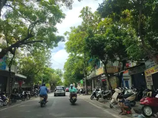 Hoạt động thanh niên