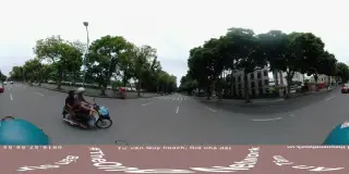 Cây lộc vừng cổ thụ