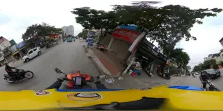Tranh trúc chỉ Phúc Việt