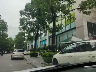Công ty TNHH Liên Đại Việt