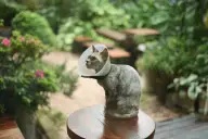 Ветклиники