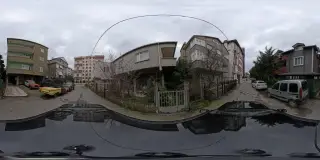 Şok