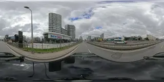 Mavi