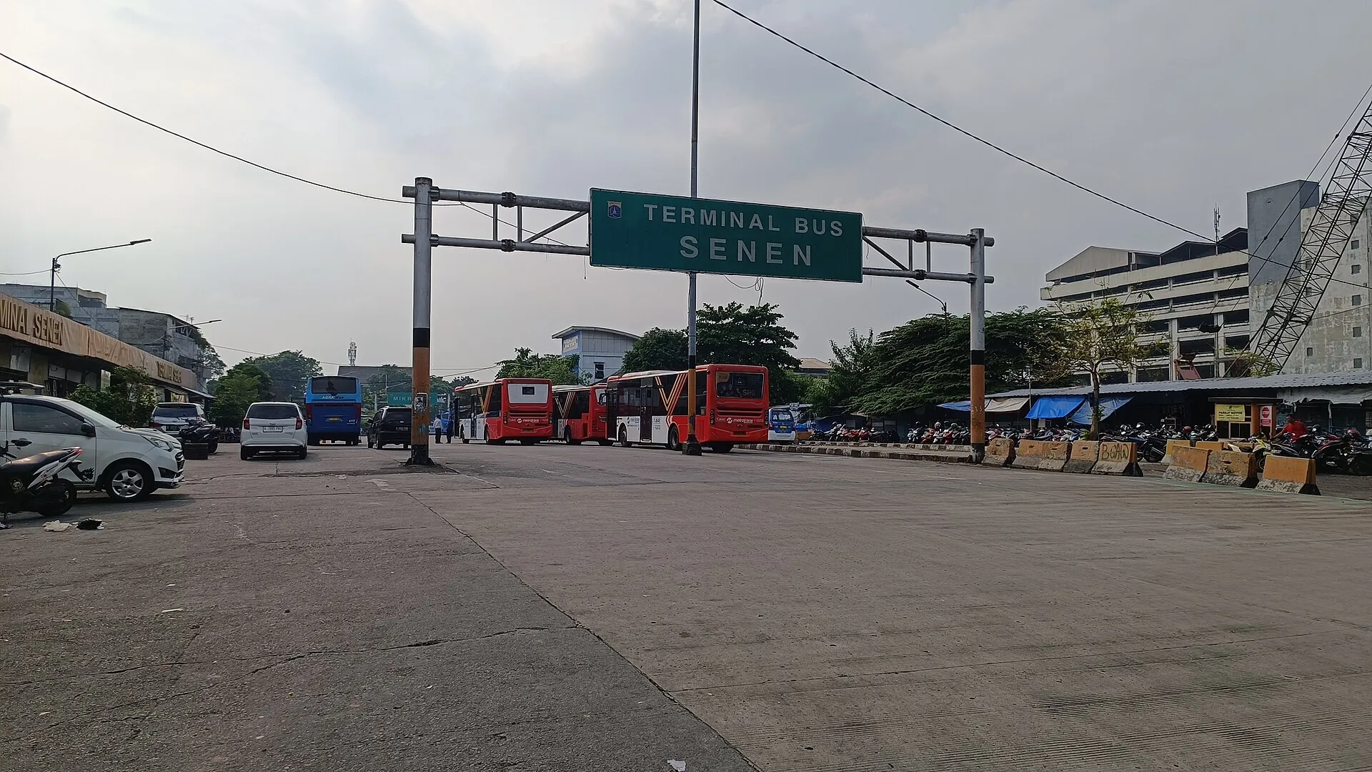 Kolegium Ilmu Bedah Indonesia