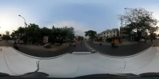 Lintas Satwa