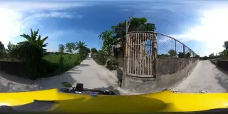 Cà phê vườn xoài