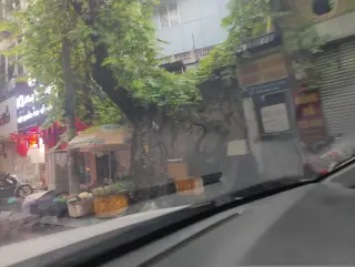 Lẩu Bò Tự Do