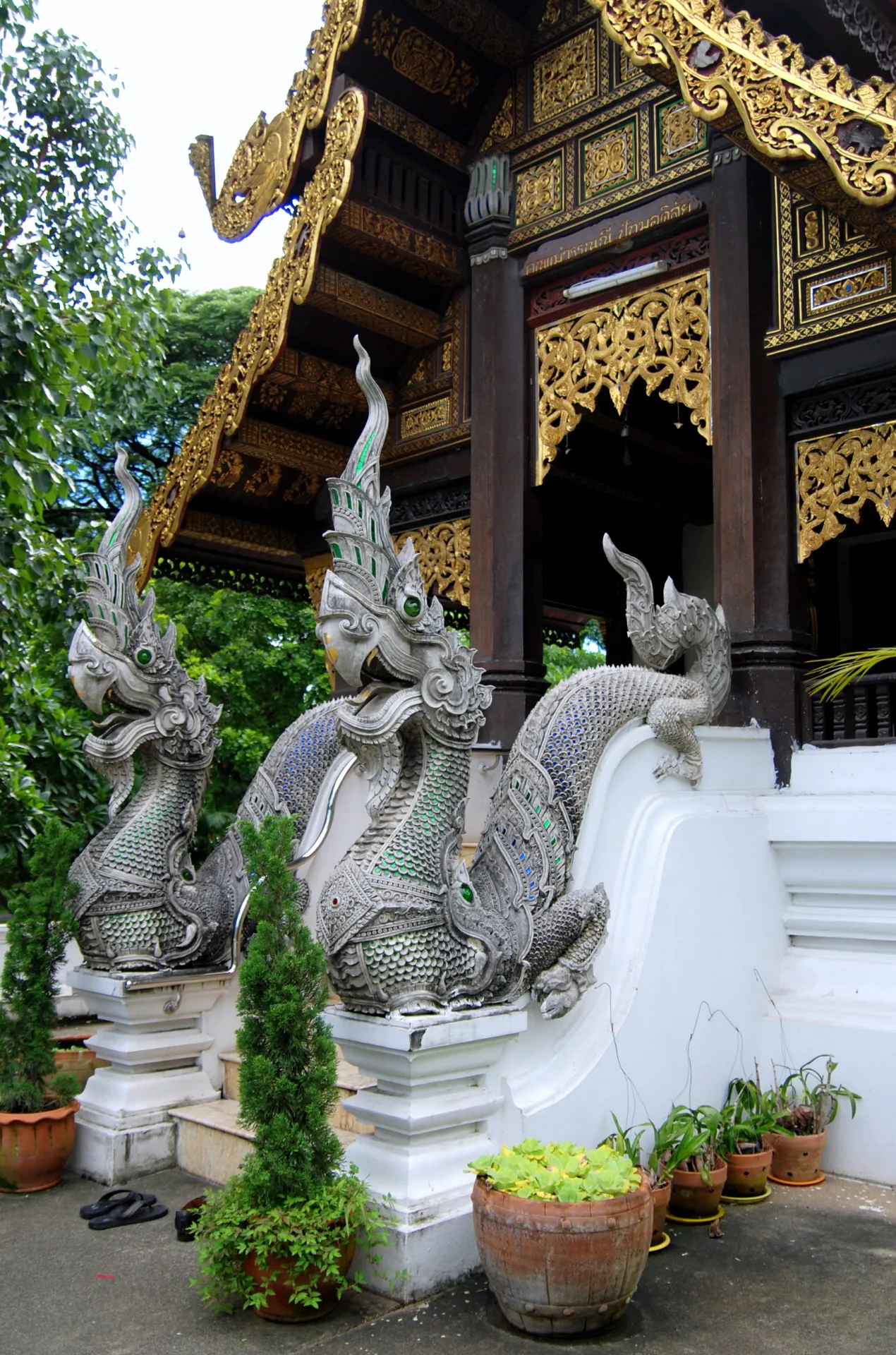 NP Clinic Chiang Mai