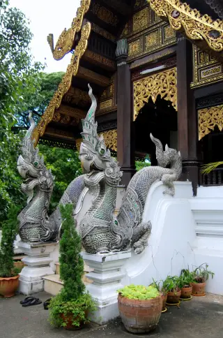 NP Clinic Chiang Mai