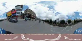 Hoa Trà Lâm Viên