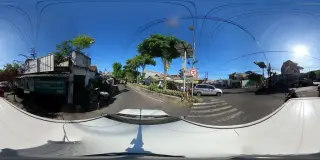 Susu sehat kambing etawa