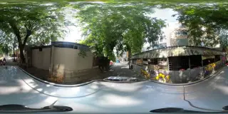Treeangelo
