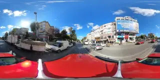 Yonca Petshop