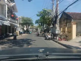 Chuyên cung cấp Heo Rừng 100% SĐT: 0773333464