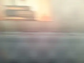 Tavuk Dünyası