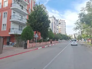 Şok