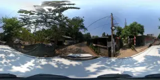 Terapi Herbal