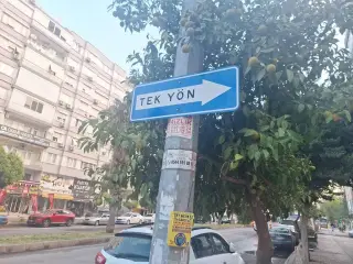 Helvaci Ali Muratapasa