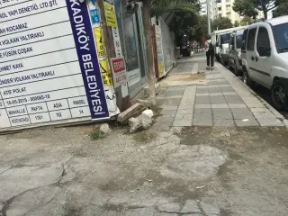 Petiköy Veteriner Kliniği