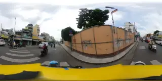 ĐAM MÊ CÁ CẢNH VN pro fish