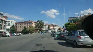Taşyürek Turzim