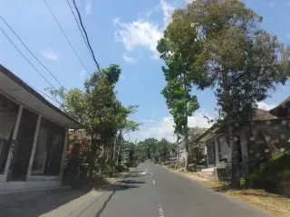 Tangelo Bali