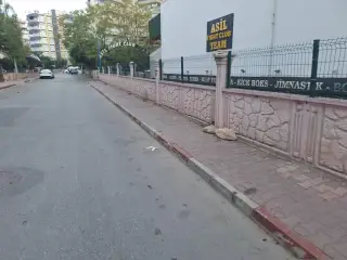 Asil Fight Club