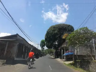 Buana Sari
