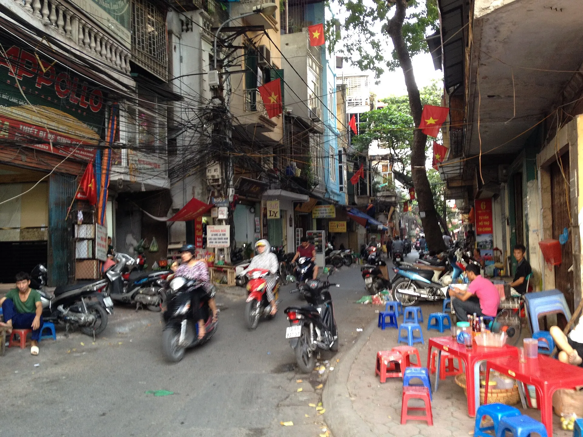 Tottot Việt Nam