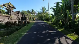 Hidden Garden at Baru