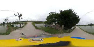 Hồ câu giải trí Hương Tẩu