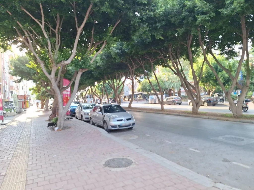 Yıldız Aksu Köfte Piyaz
