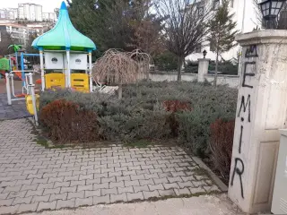 Şok