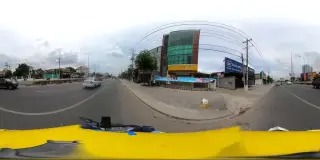 Đambri's Tea