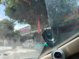 Bò Tơ Năm Sánh 66 Bình Dương