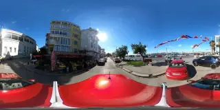 İnsula Psikoloji