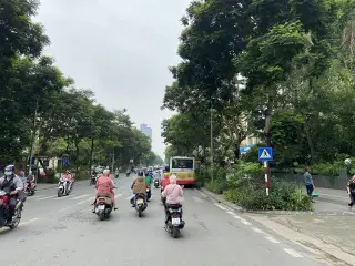 Wang Wang Huỳnh Thúc Kháng