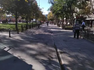 Özsüt