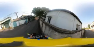 Guppy 3h