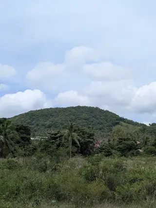 Chi Samui