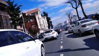 Sarıyer Bosphorus Veteriner Kliniği