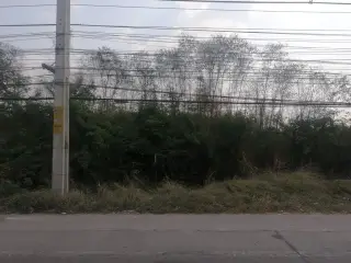 Peid Ban Slow Bar