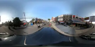 Sei Sapi Kana