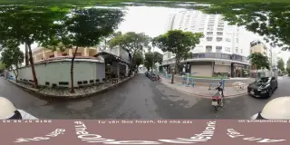 Dầu nọc Ong Singapore