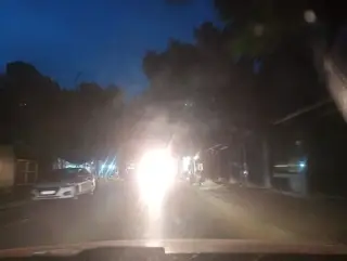 IQ Việt Nam