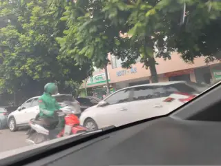 Mầm Non Voi Con