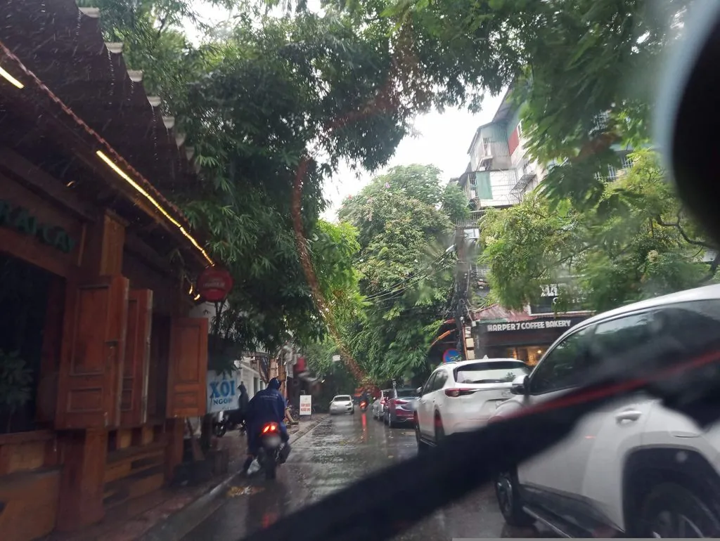 Bánh Mỳ Xôi Thành